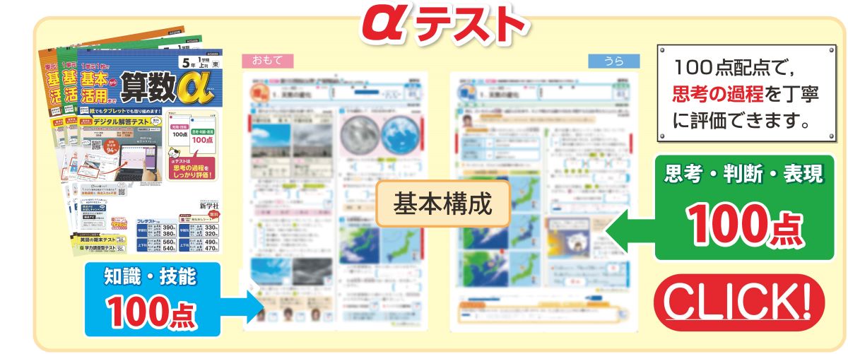 新学社 算数テスト 答え カラーテスト 小学校5年生 国語 新学社 